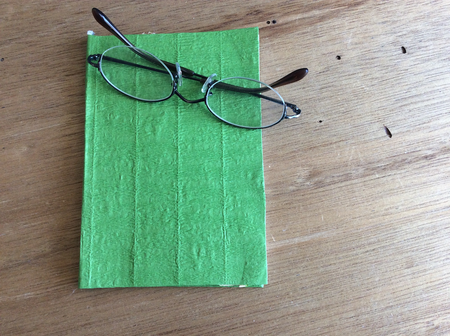 Green_Book_1_Small_Front.jpg